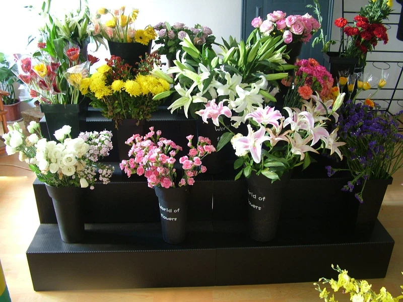 display stand display stand